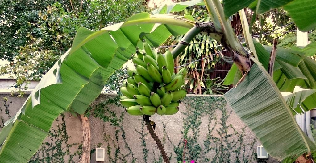 Gavea Bnb Rio de Janeiro Buitenkant foto